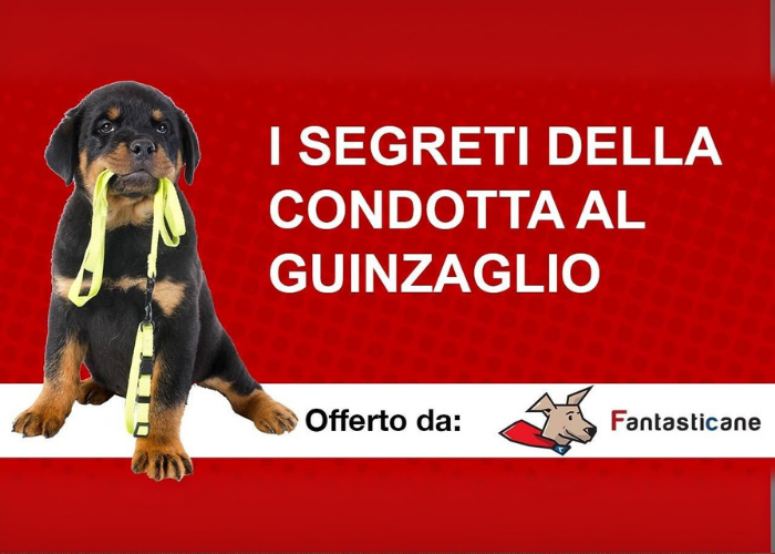 [SCARICA] I Segreti della Condotta al Guinzaglio / Fantasticane