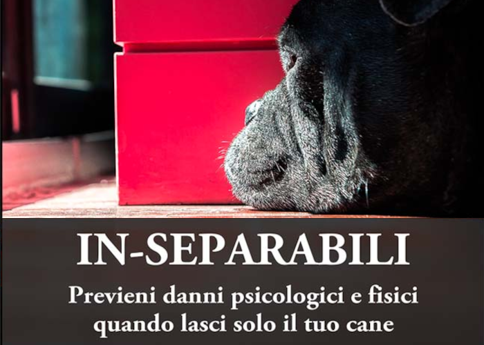 [SCARICA] In-Separabili / Fantasticane